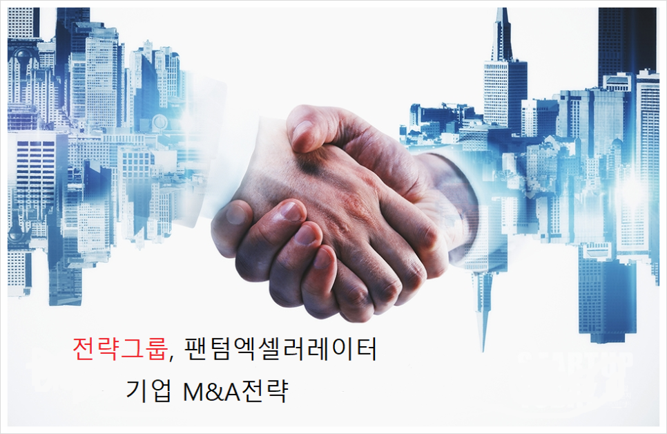 선일회계법인 이미지