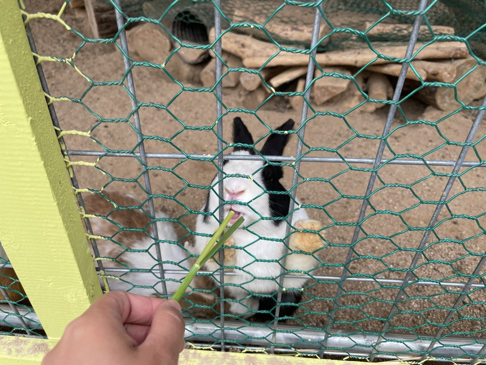 초원목장 이미지