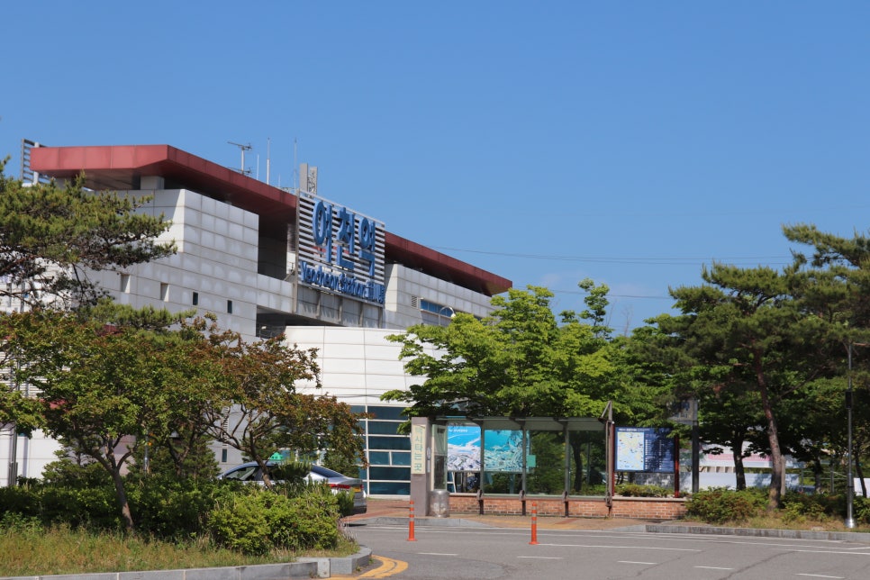 일구구사투어렌트카 이미지