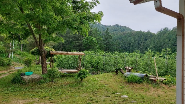 삼백번떡방앗간 이미지