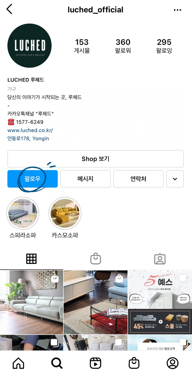 루체드 이미지