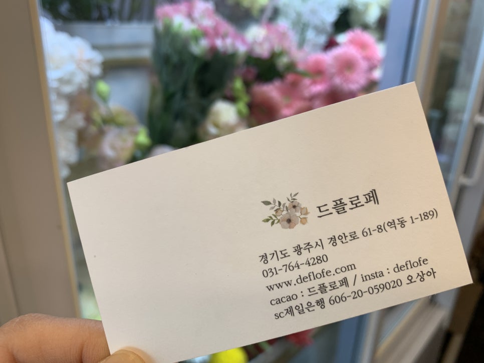 드플로페 이미지