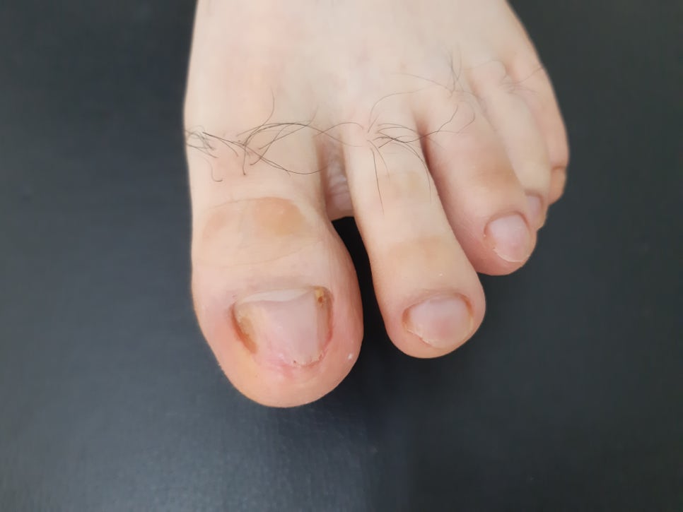 레푸스앤두두뷰티 이미지