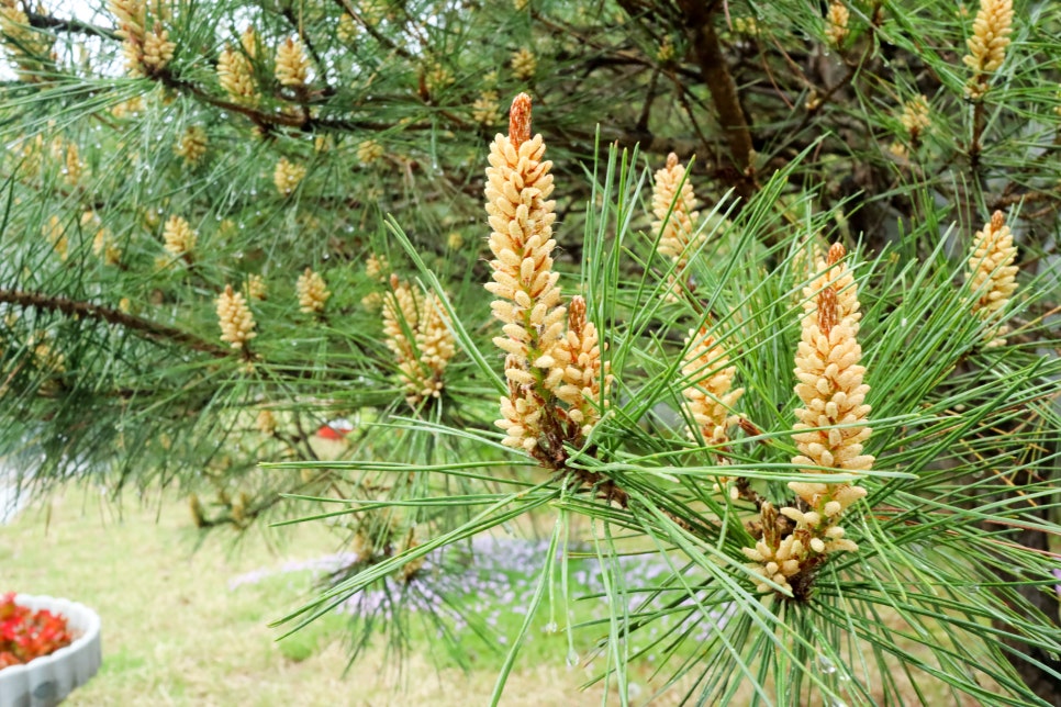 자연환경(주) 이미지