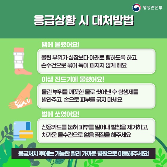 캠핑초보 이미지