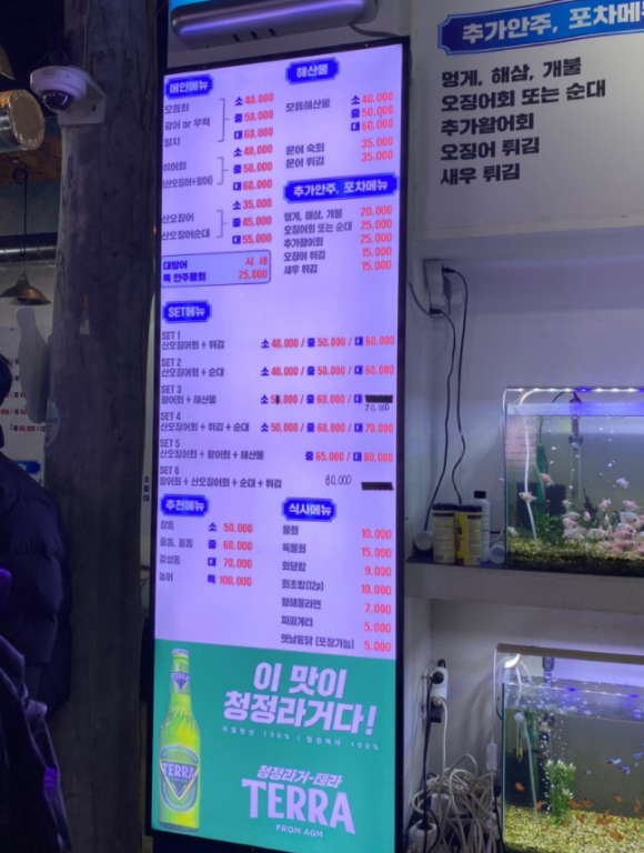싱싱산오징어 이미지