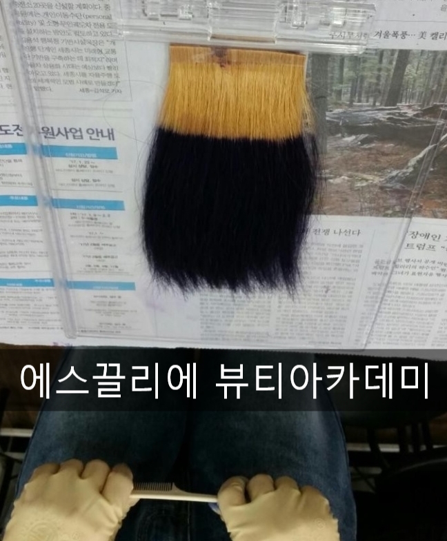 에스끌리에뷰티아카데미학원 이미지