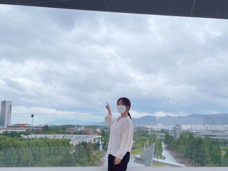 플라플로 이미지