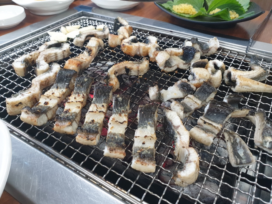 힘센장어오리 이미지