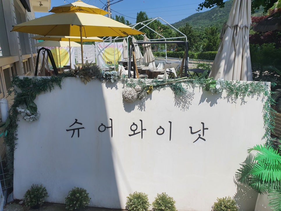 슈어와이낫 이미지
