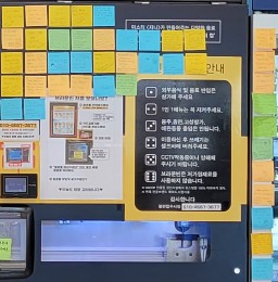 브라운빈두정 이미지