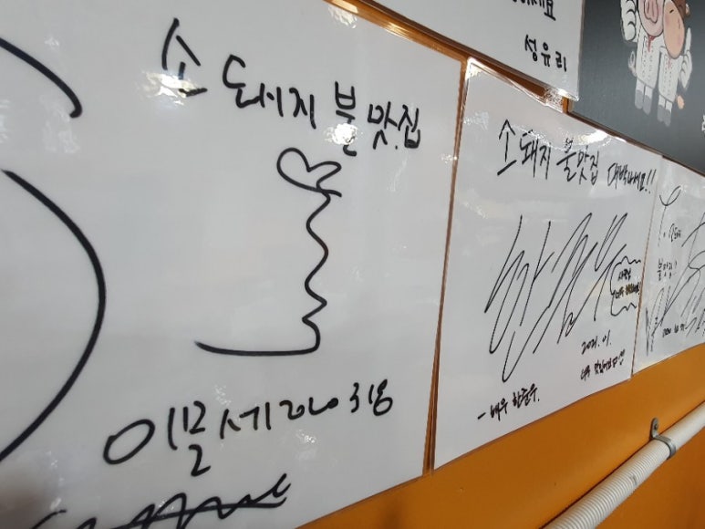돼지에서 소까지 이미지