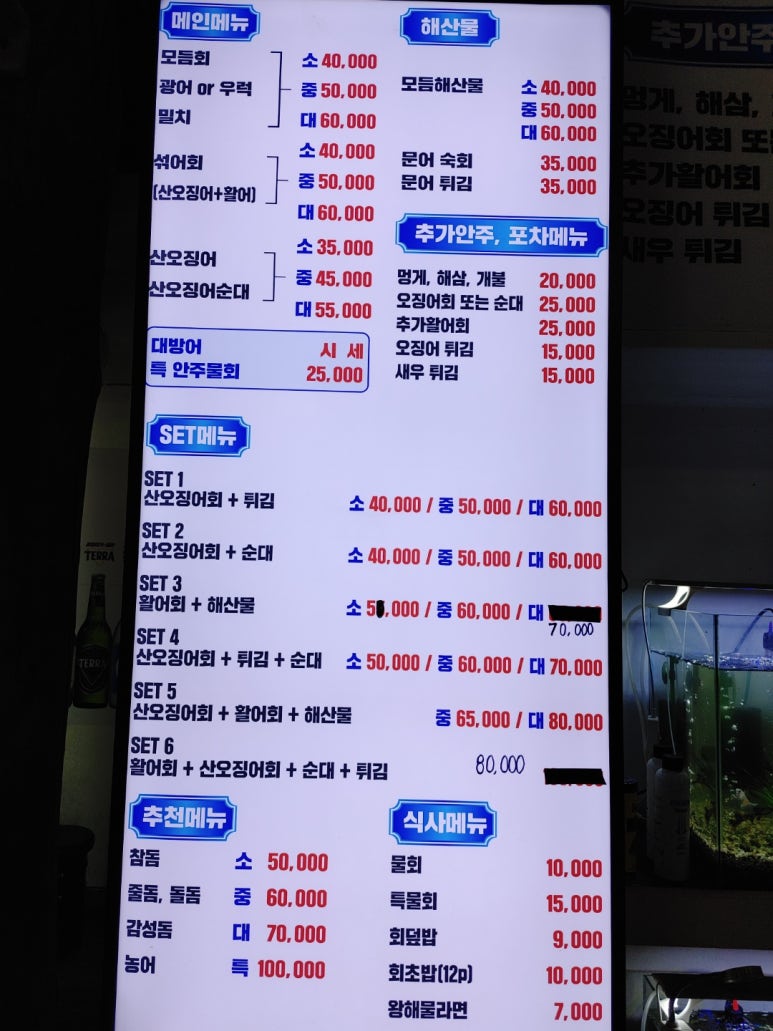 싱싱산오징어 이미지
