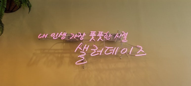 샐러데이즈 이미지