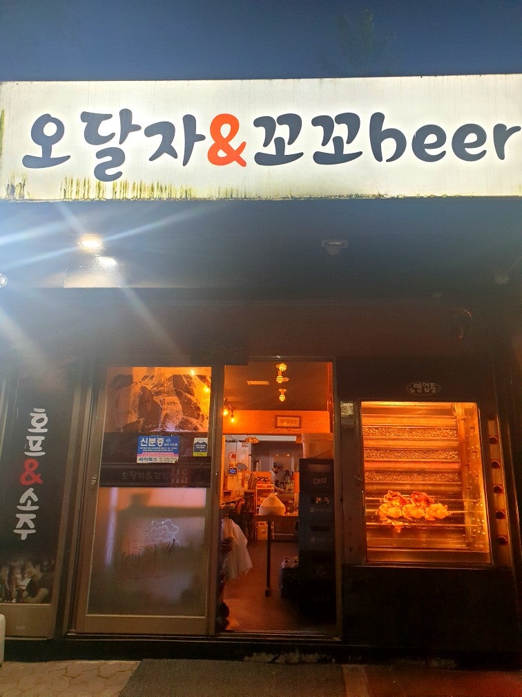 오달자엔꼬꼬비어 이미지