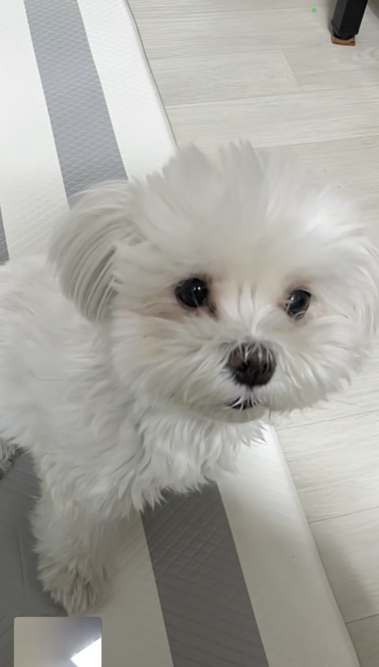 창신동숙 이미지