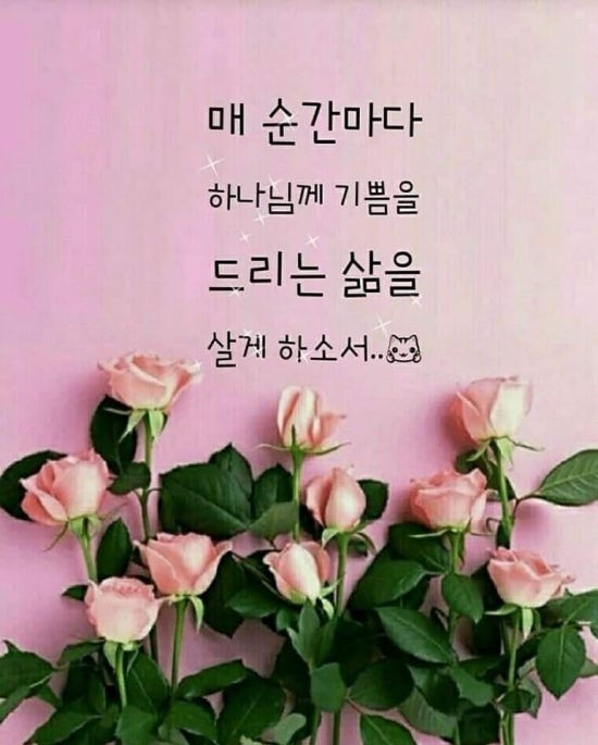 정성다해 이미지
