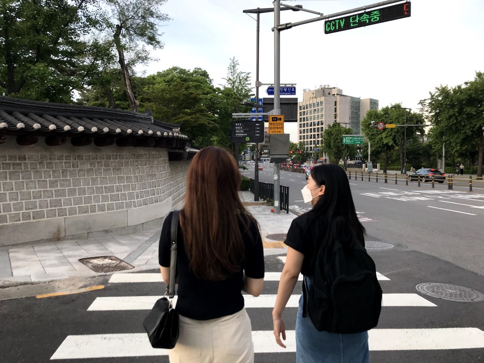 마니모 이미지