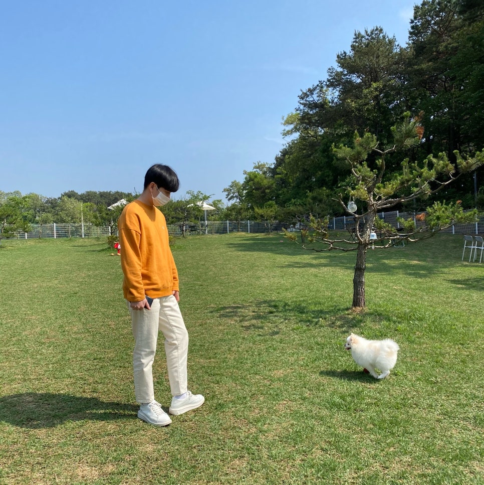 카페 빼로(cafe Perro) 이미지