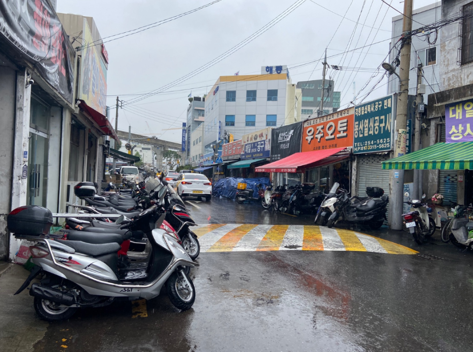 대구수창초등학교 이미지