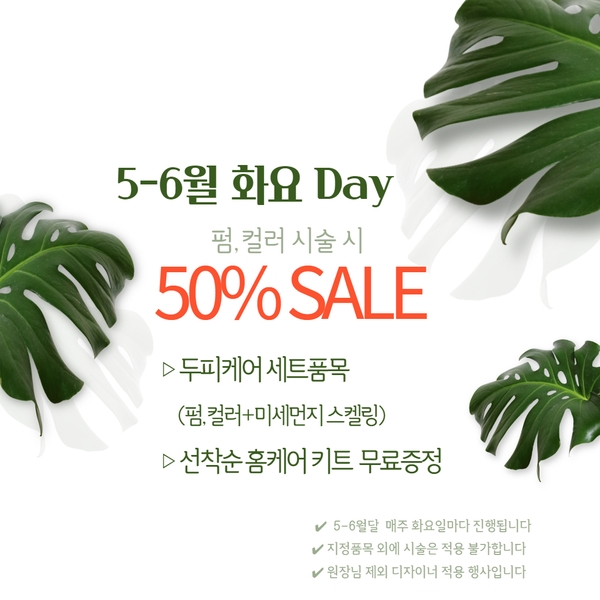아우르 이미지