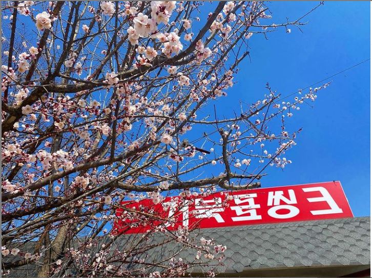 거북표씽크 이미지