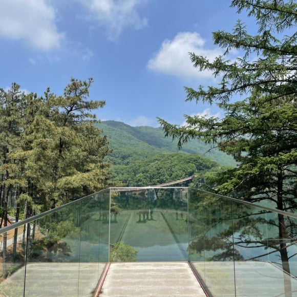 폴콘양주 이미지