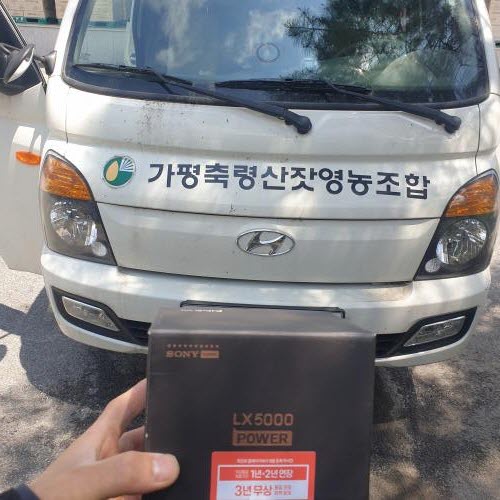 메딕카 이미지
