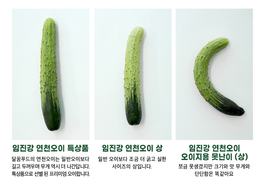 달푸드 이미지