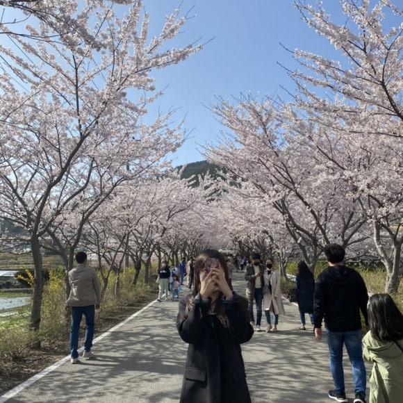 에이치린 이미지