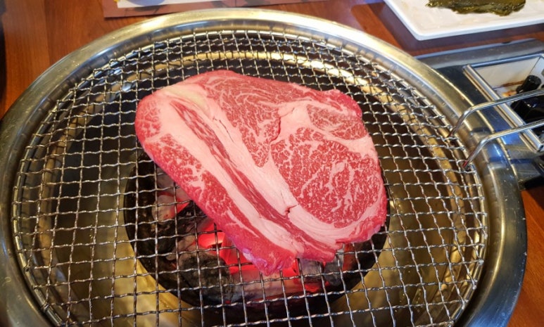팔용고기 이미지