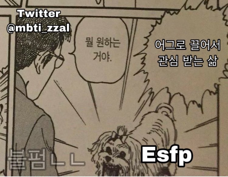 고냥C 이미지
