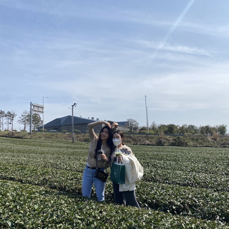 제주에산다면 이미지