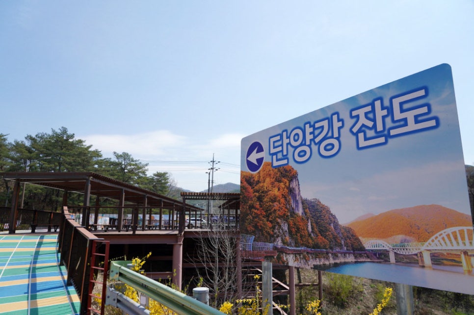 쥬씨단양점 이미지