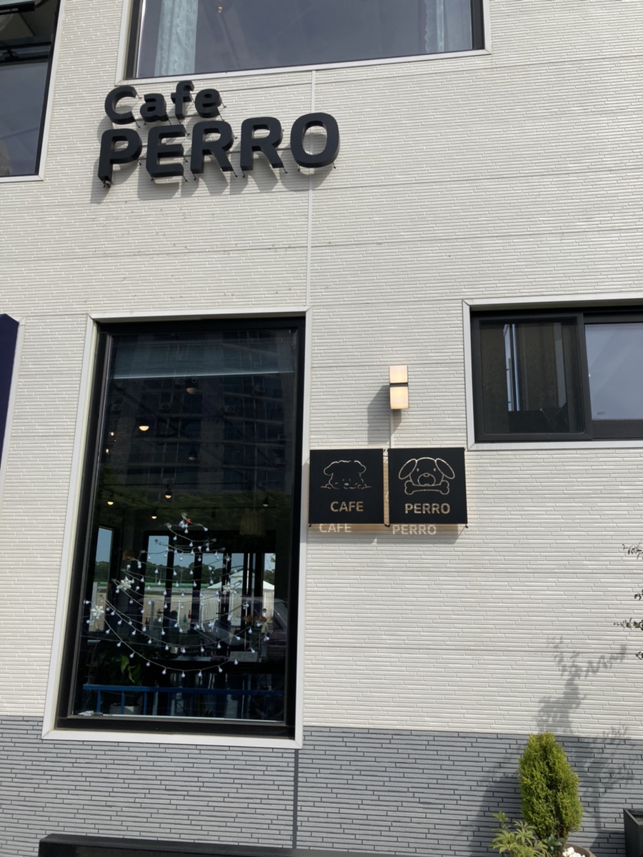 빼로(perro) 이미지