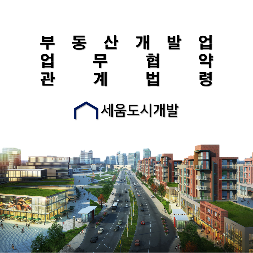 세움개발 이미지