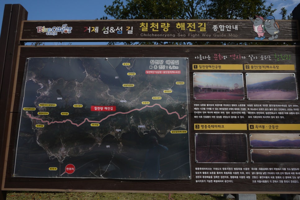 쌈지거제 이미지