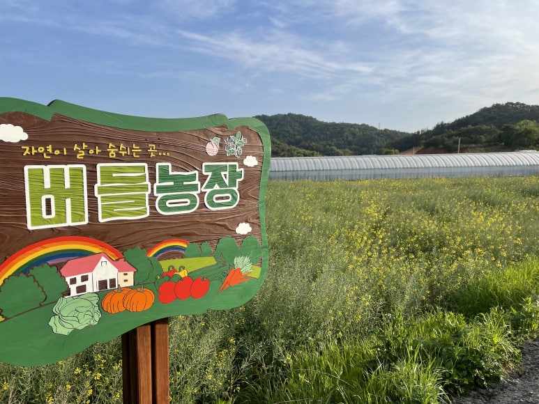 버들하우스 이미지