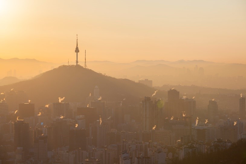 식물안 이미지