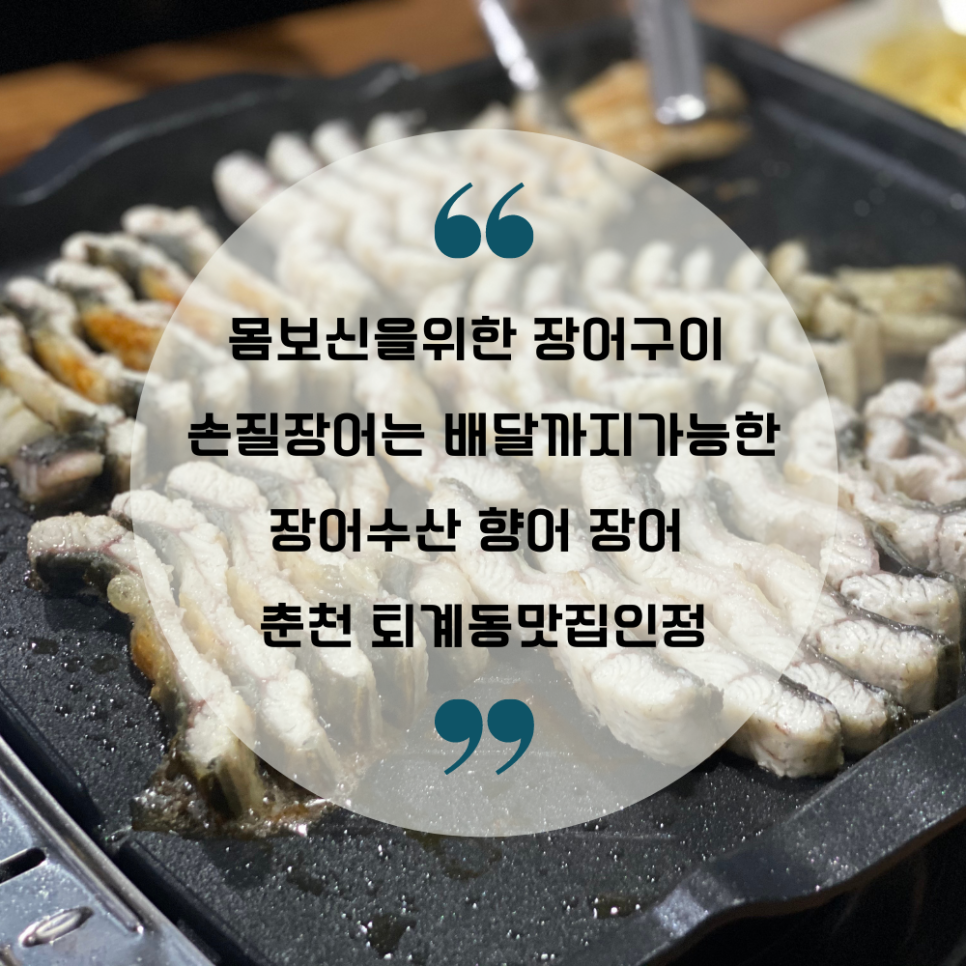 향어시대 이미지