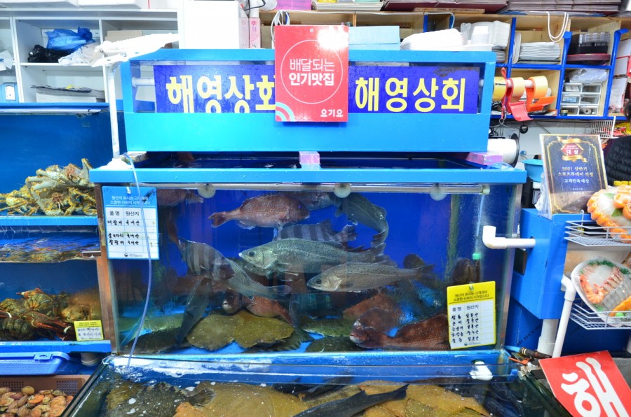 심쿵상회 이미지