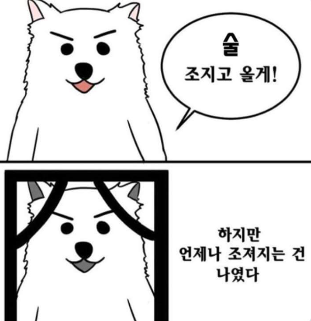 스페셜유 이미지