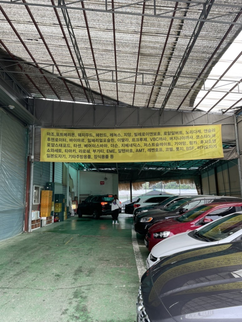 나무눈컴퍼니 이미지