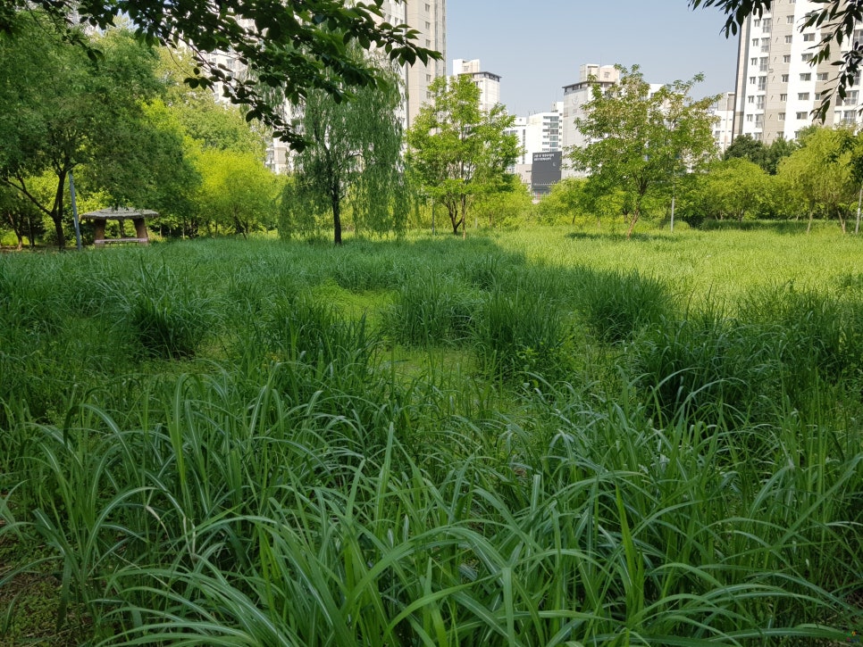 전재울근린공원 유아숲체험원 이미지