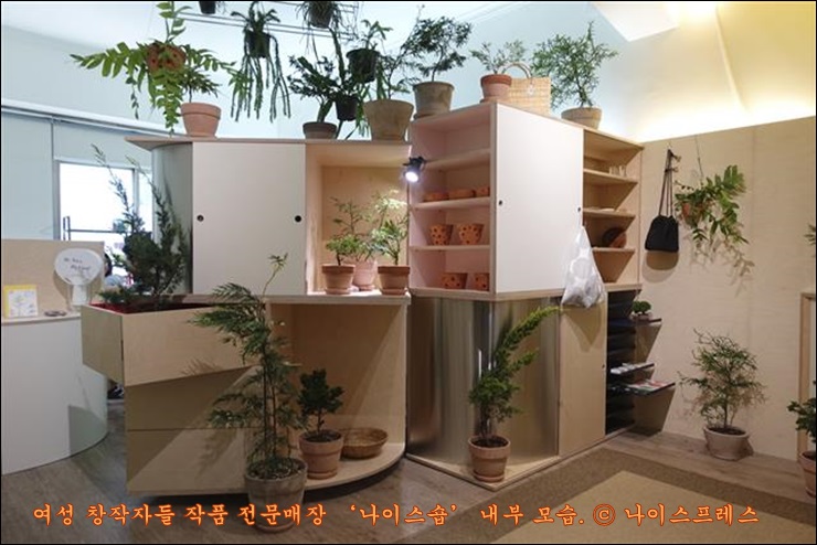나이스프레스 이미지