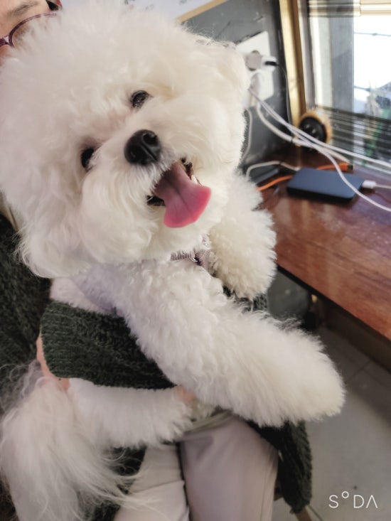 ZIO헤어 이미지