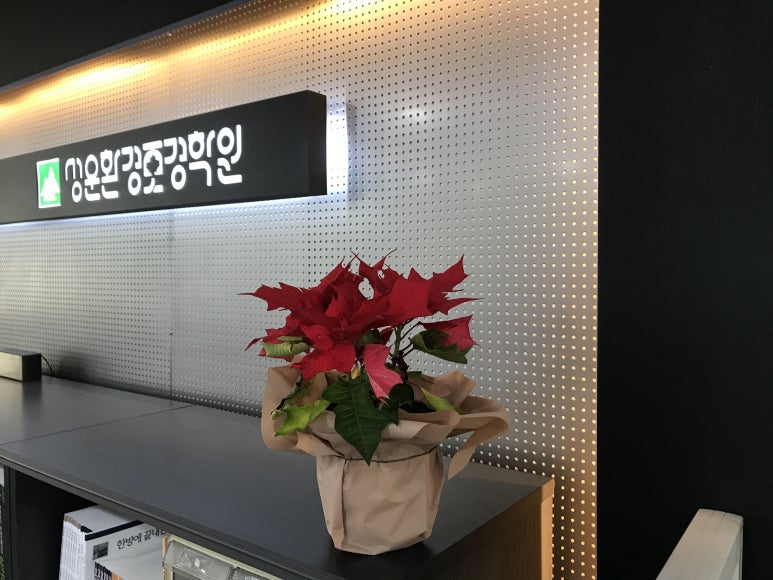 성운환경조경학원 이미지