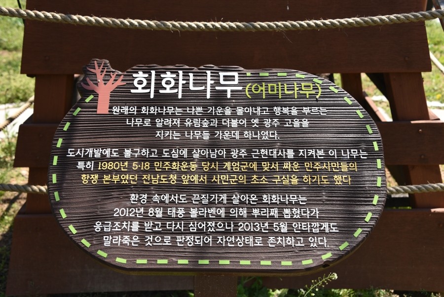 작은나무숲 이미지
