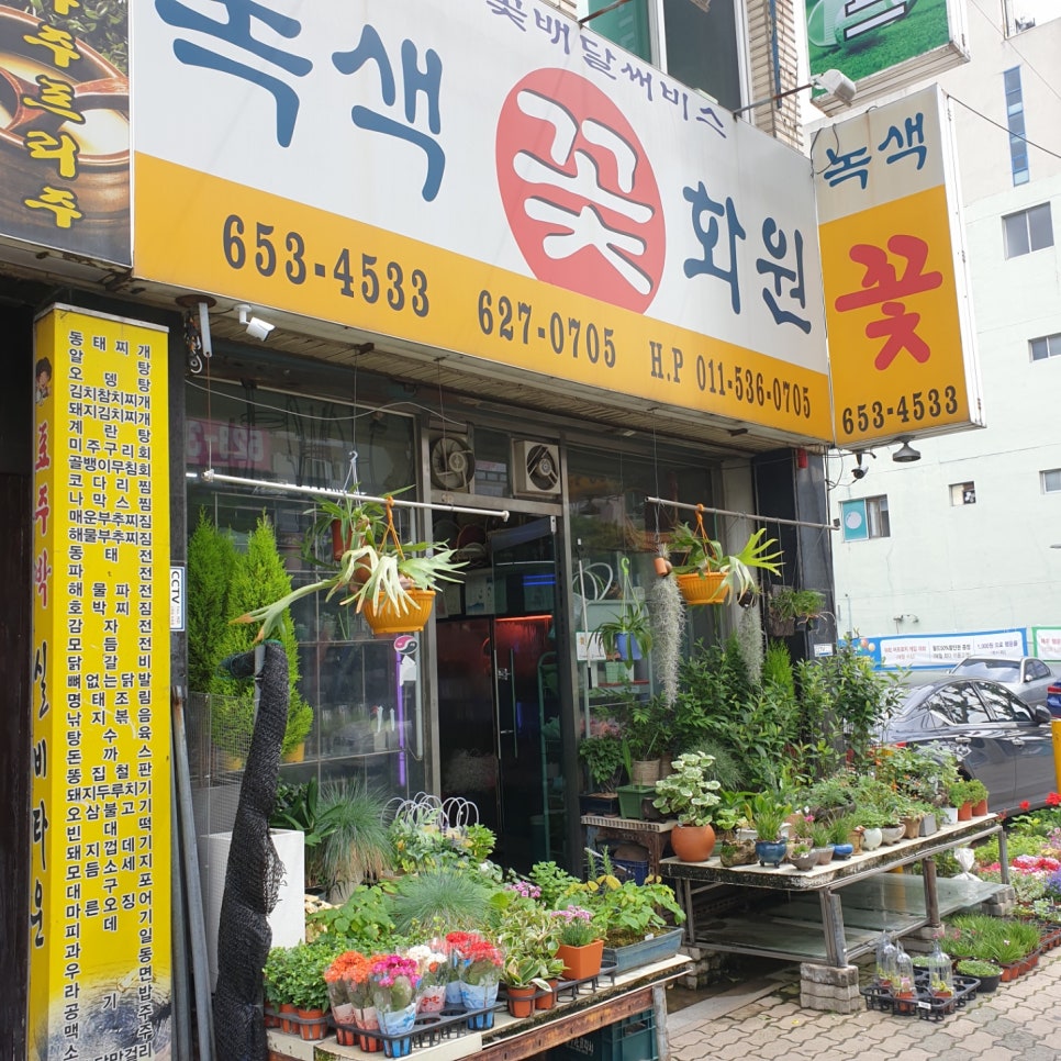 녹색꽃화원 이미지