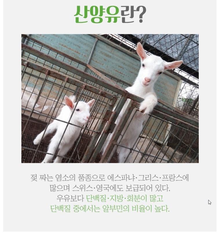 모심산양유 이미지